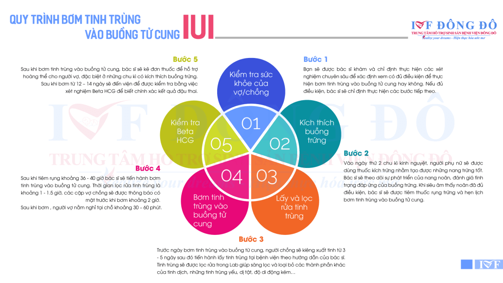 IUI – Phương pháp bơm tinh trùng vào buồng tử cung