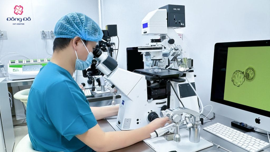 Thụ tinh ống nghiệm (IVF) – ICSI
