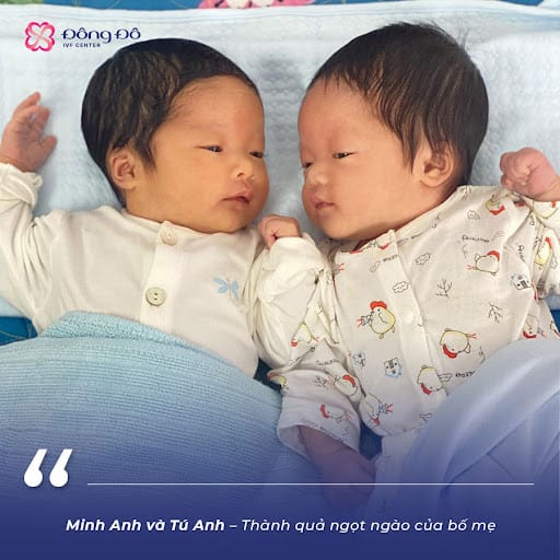 Hai em bé đáng yêu là thành quả ngọt ngào sau nhiều nỗ lực của vợ chồng