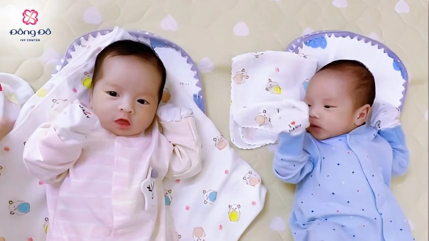 Hai bé Hổ vàng Ngô Nếp - Ngô Tẻ
