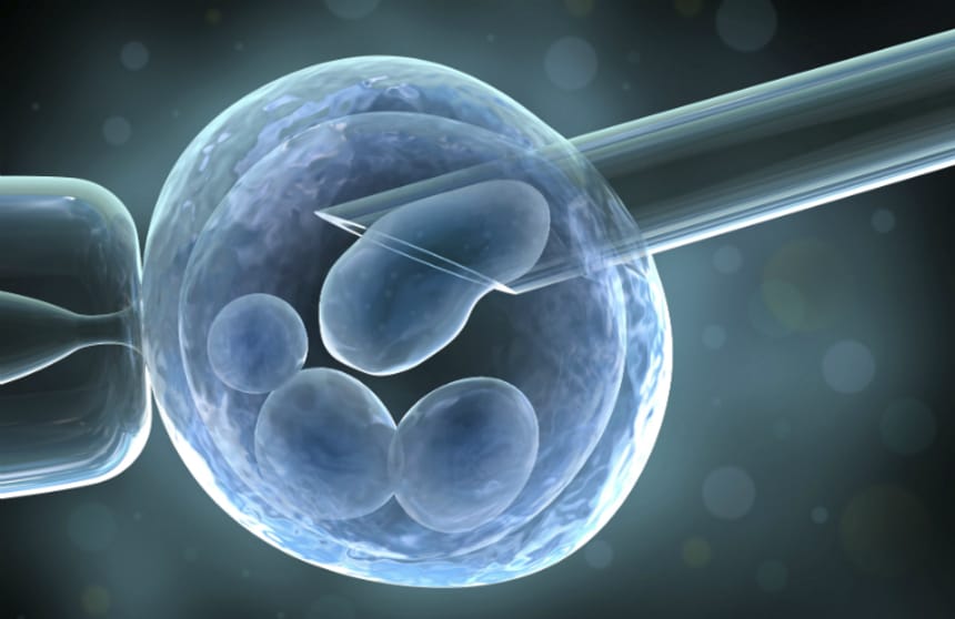 Quá trình phôi làm tổ trong IVF diễn ra như thế nào?