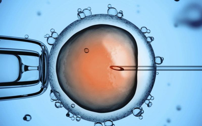 Khi nào nên chuyển sang IVF (thụ tinh trong ống nghiệm)?
