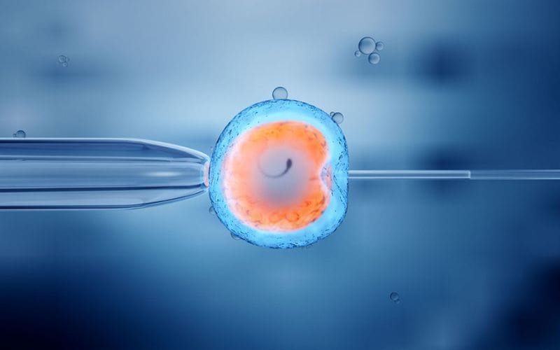 Cơ chế của IVF (thụ tinh trong ống nghiệm)