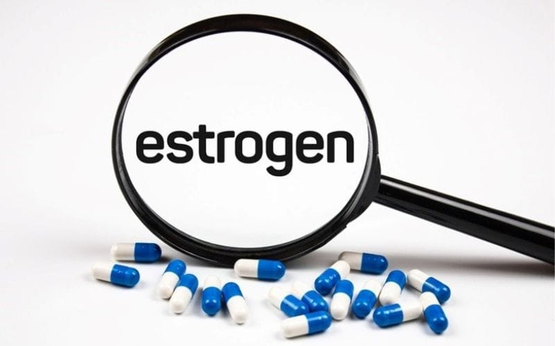 Estrogen - Hỗ trợ phát triển niêm mạc tử cung