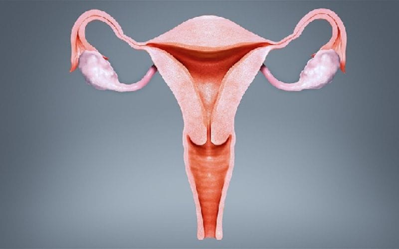 Tắc 1 bên vòi trứng có làm IUI được không?
