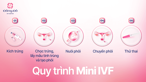 Quy trình thực hiện Mini IVF