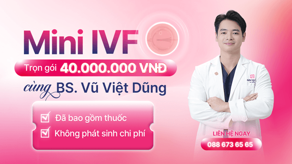 Giới thiệu nhanh về Mini IVF