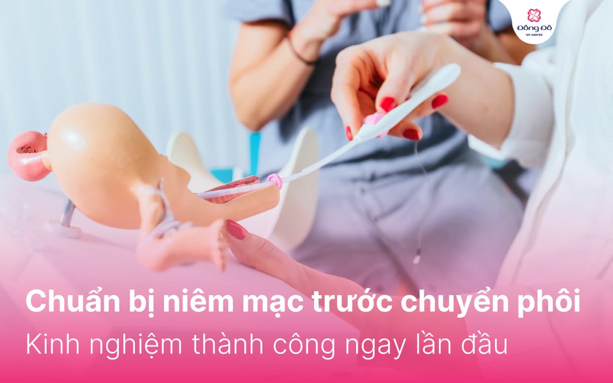 Chuẩn bị niêm mạc trước chuyển phôi