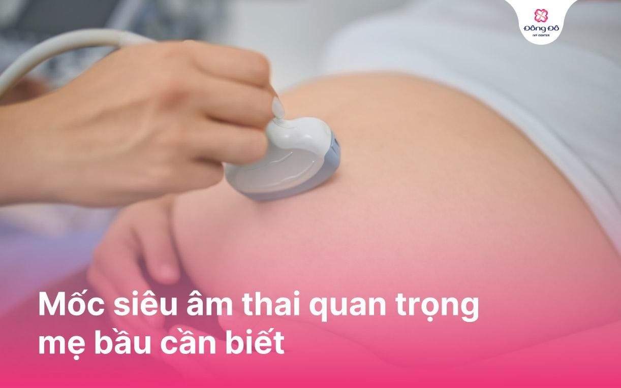 Mốc siêu âm thai quan trọng mẹ bầu cần biết