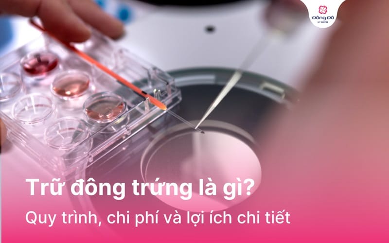 Trữ đông trứng