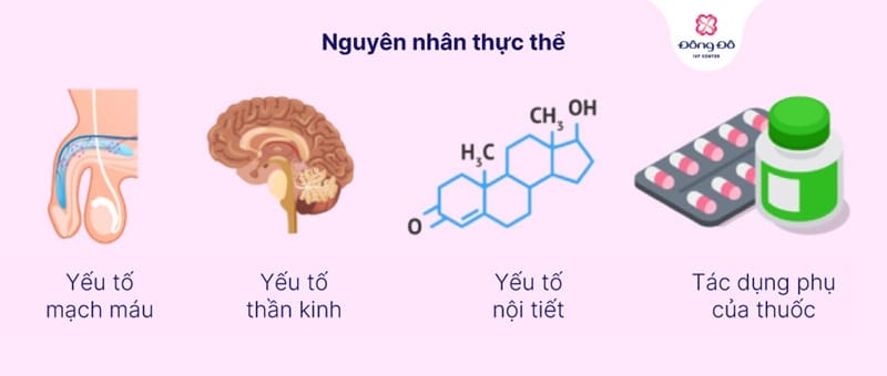 Nguyên nhân thực thể