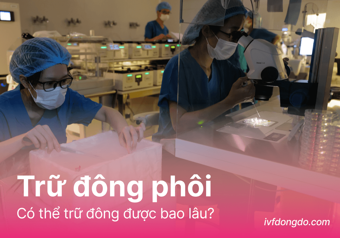 Phôi trữ đông để được bao lâu? 4 Yếu tố ảnh hưởng đến thời gian trữ phôi
