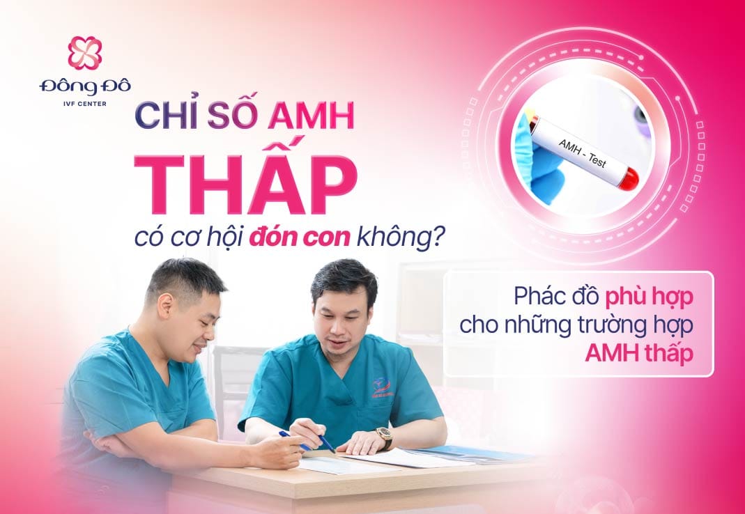 chi so amh thap la gi-01