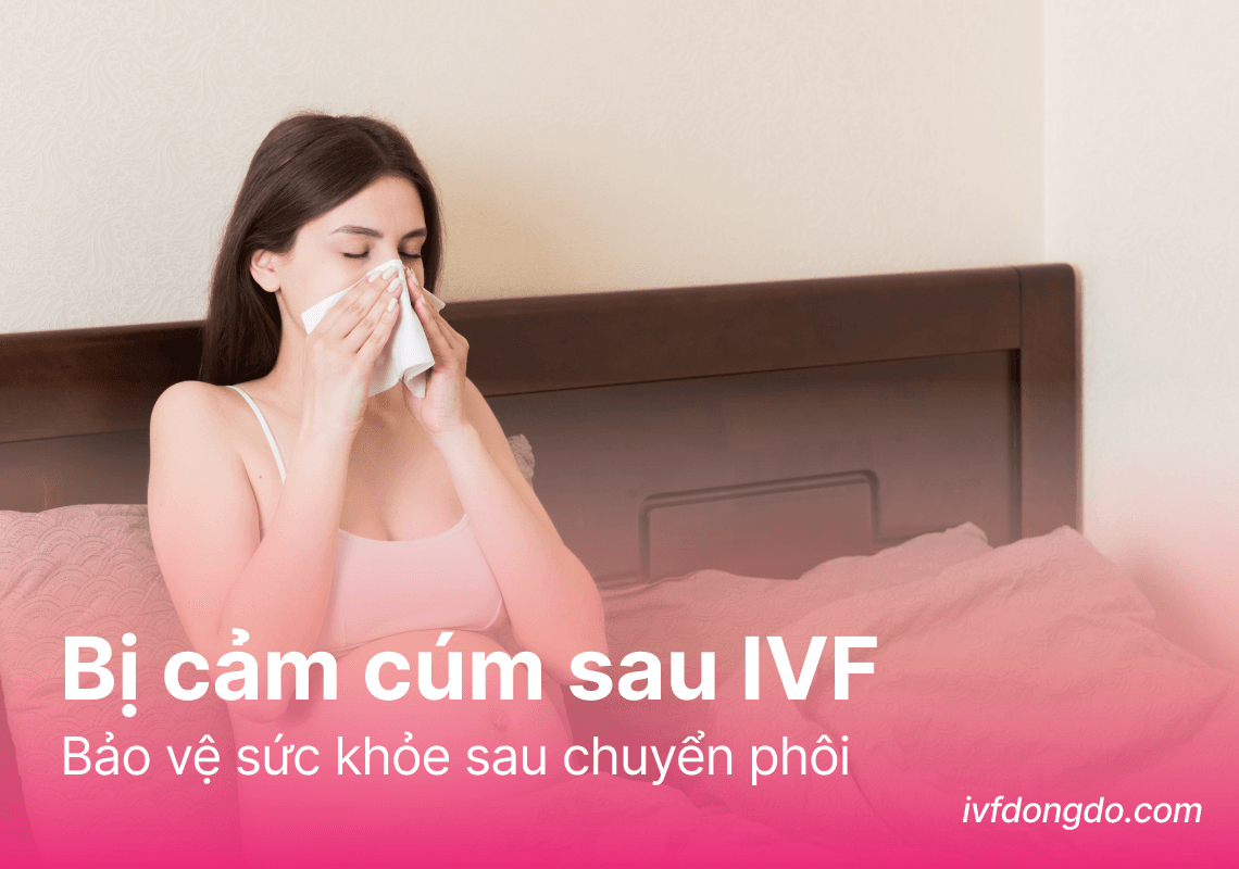 Sau chuyển phôi bị cảm cúm