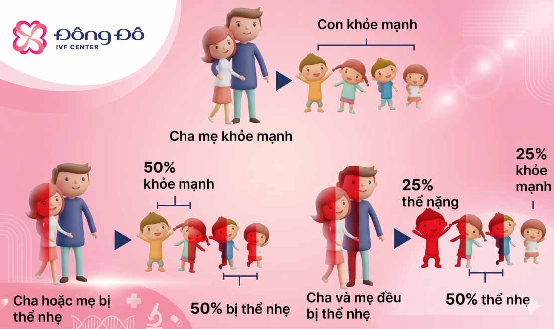 Bố mẹ mang gen Thalassemia có thể di truyền sang con. Sàng lọc phôi tiền làm tổ (PGT) hoàn toàn loại bỏ được gen bệnh di truyền này.