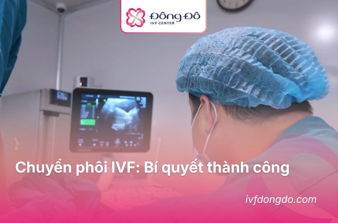 Chuyển Phôi IVF Là Gì? Quy Trình, Lưu Ý Và Bí Quyết Thành Công