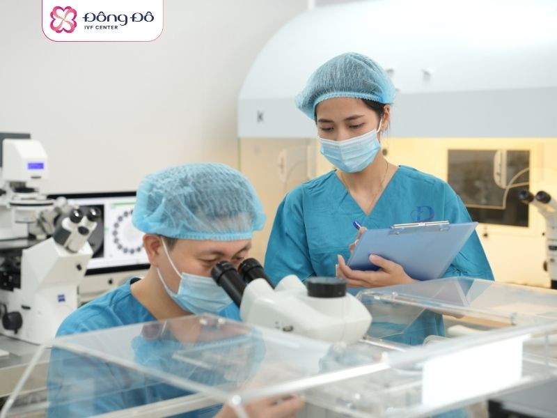 Đông Đô IVF Center là đơn vị tiên phong trong ứng dụng công nghệ HTSS hiện đại tại Việt Nam