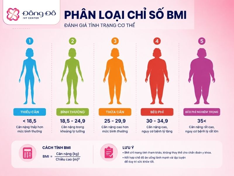 Giữ BMI ở mức phù hợp sẽ tăng tỷ lệ thành công IVF