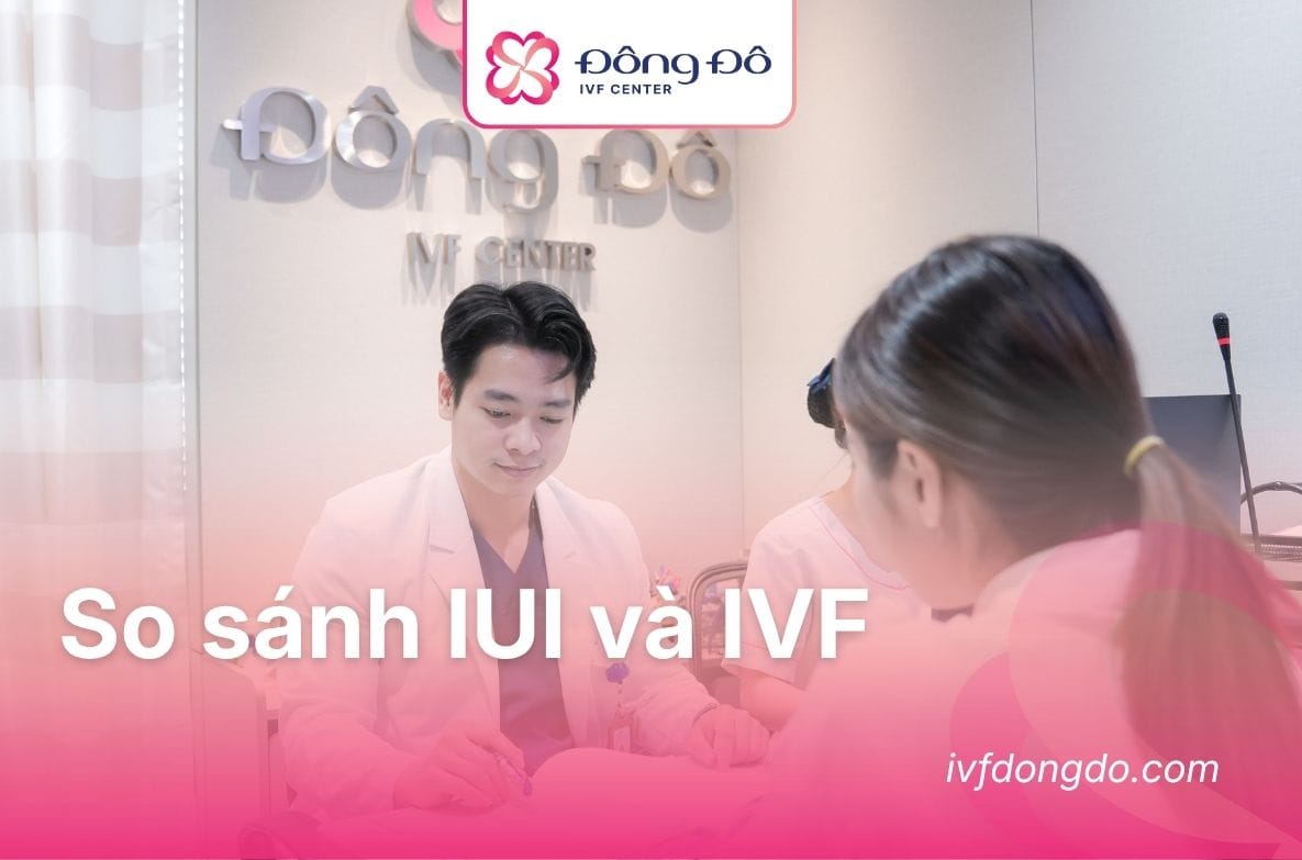phương pháp iui và ivf