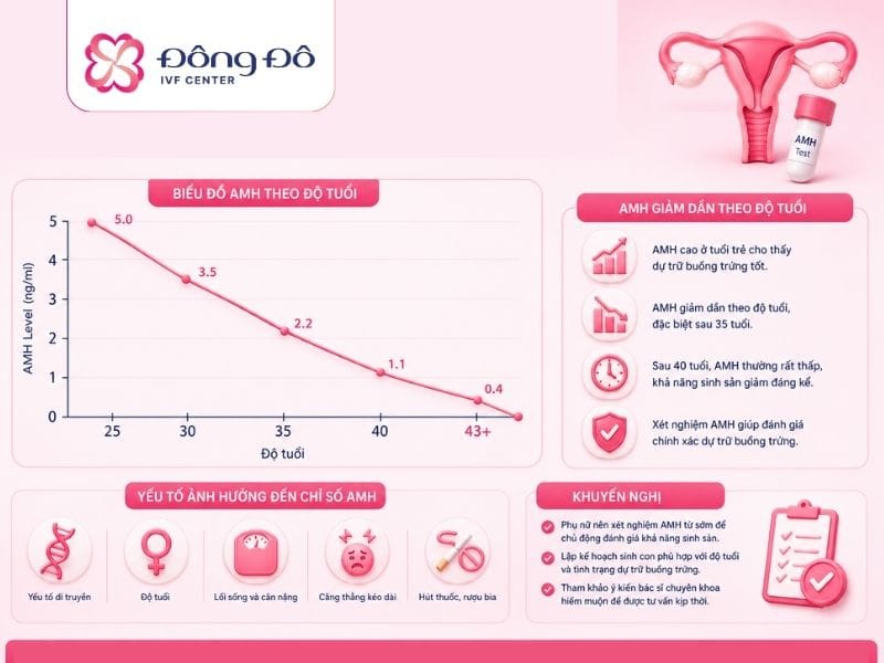 Chỉ số AMH theo độ tuổi phụ nữ