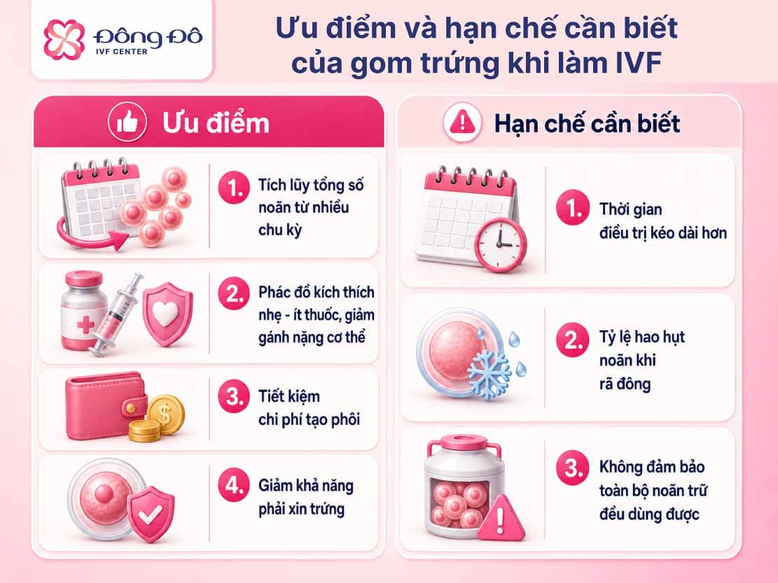 Inforgraphic ưu điểm và hạn chế của gom trứng khi làm IVF