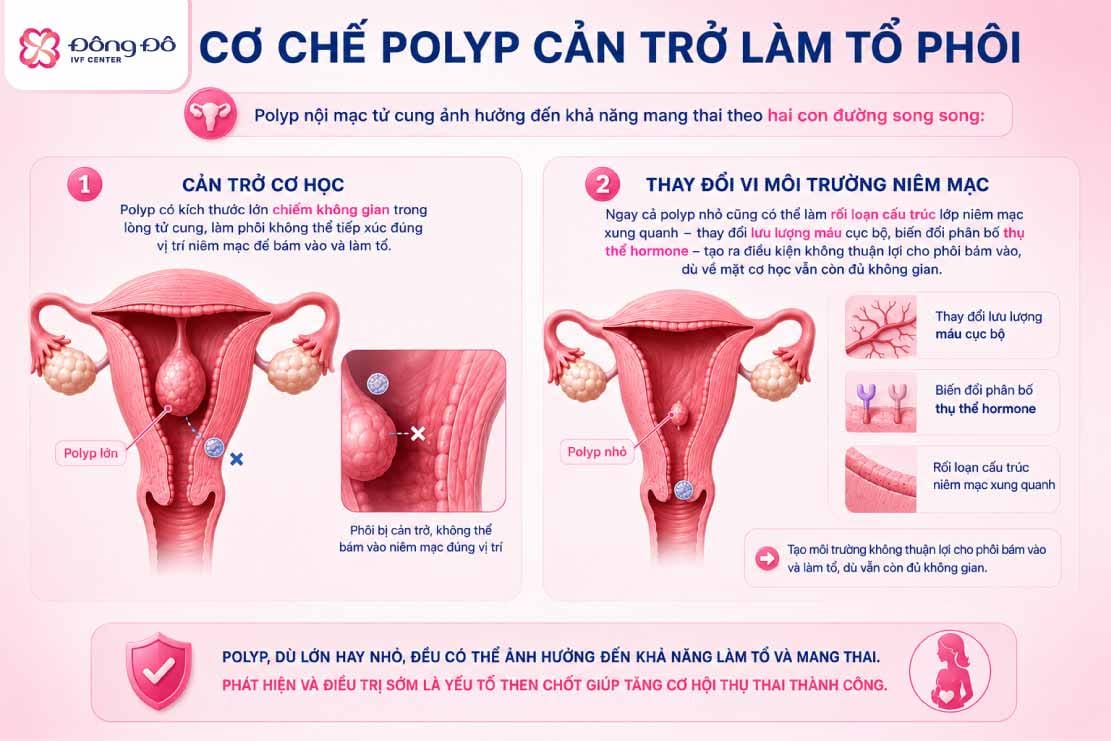 Cơ chế ảnh hưởng tới khả năng mang thai của polyp tử cung