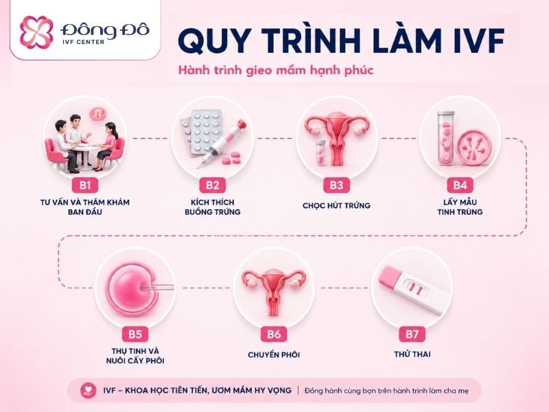 Inforgraphic quy trình 7 bước thụ tinh trong ống nghiệm IVF