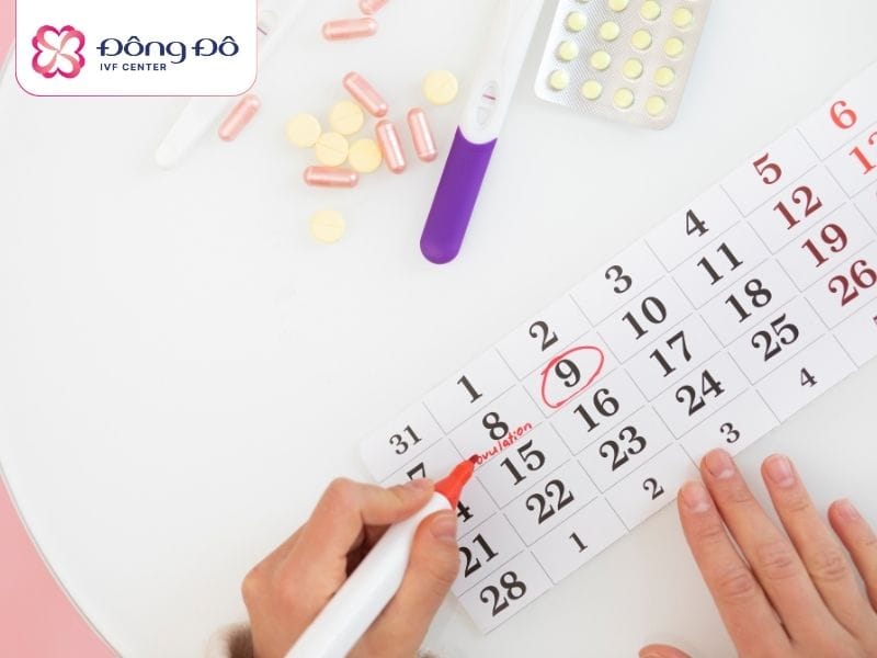 Lên kế hoạch hợp lý là bước quan trọng để gia đình ổn định tâm lý, lường trước mọi rủi ro