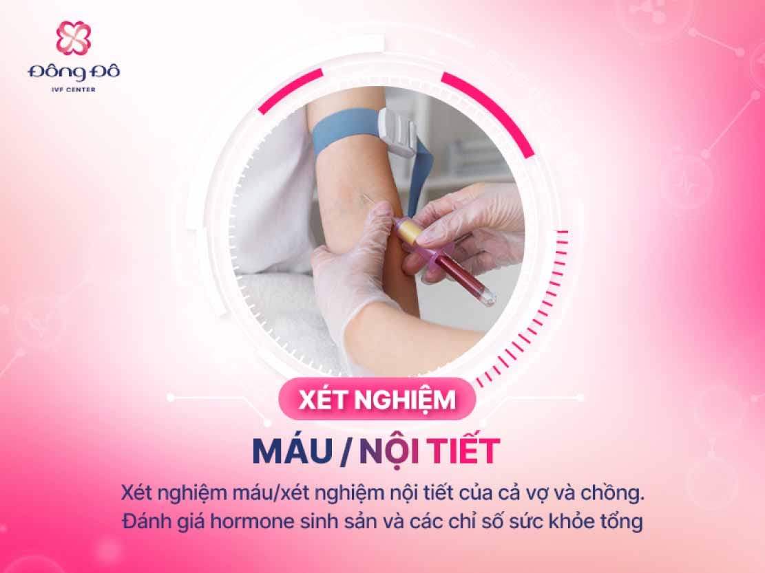 Xét nghiệm máu và nội tiết là bước quan trọng đầu tiên khi điều trị IVF