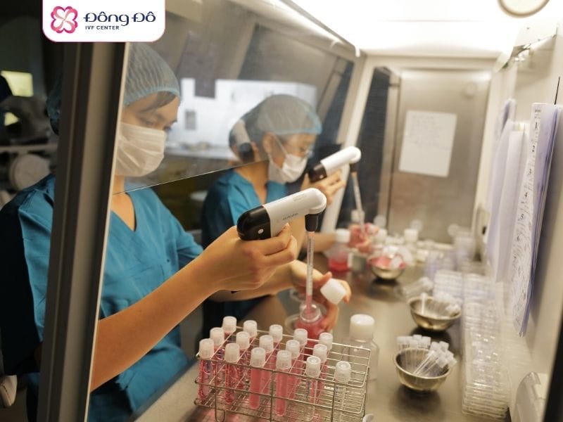 Các chuyên viên lab đang thực hiện chọn lọc tinh trùng khỏe mạnh