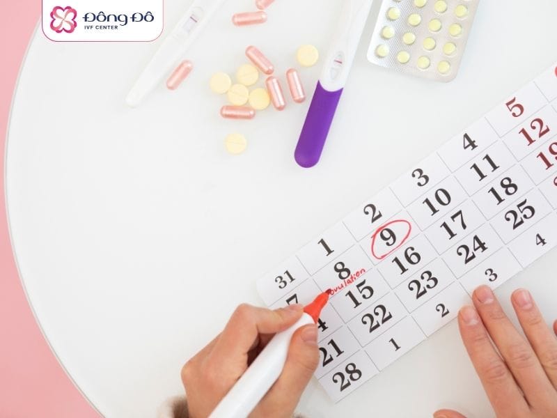 Khi trứng đạt tiêu chuẩn về kích thước, các bác sĩ sẽ chỉ định thực hiện IUI