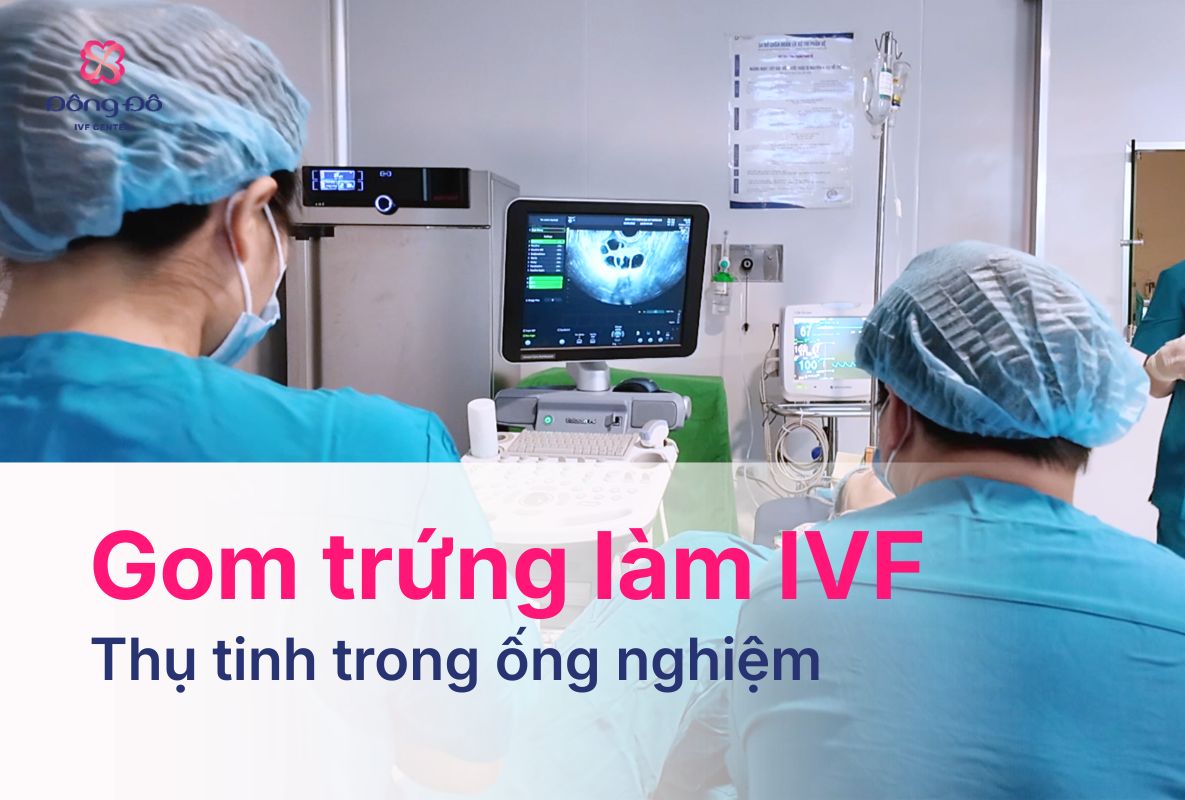 Gom trứng làm IVF là gì Quy trình, chỉ định và lưu ý quan trọng