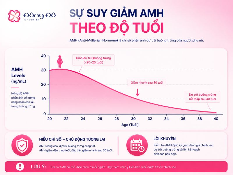 Chỉ số AMH suy giảm theo độ tuổi của phụ nữ