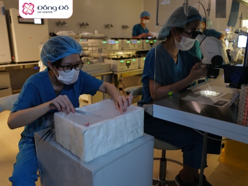 Phôi được trữ đông bằng phương pháp thủy tinh hóa - bảo toàn đến 99% chất lượng phôi trong vòng 15 năm.