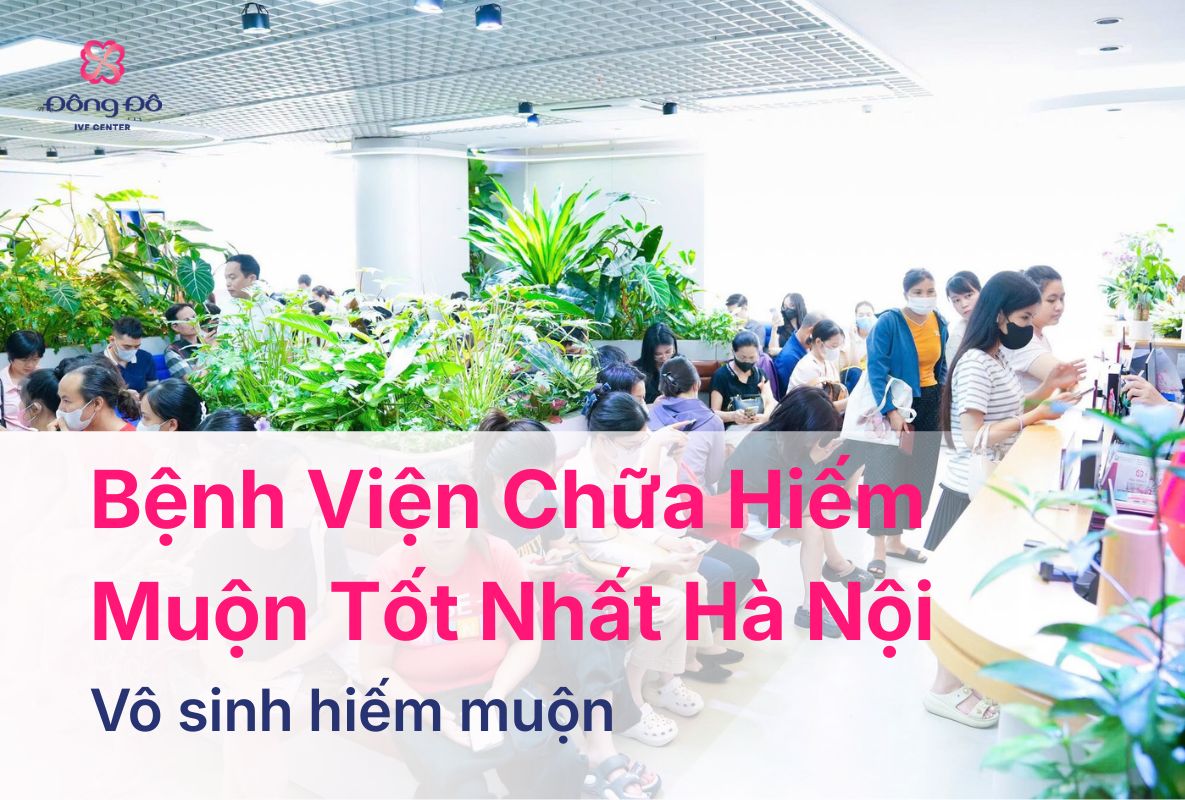 Địa Chỉ Bệnh Viện Chữa Hiếm Muộn Tốt Nhất Hà Nội