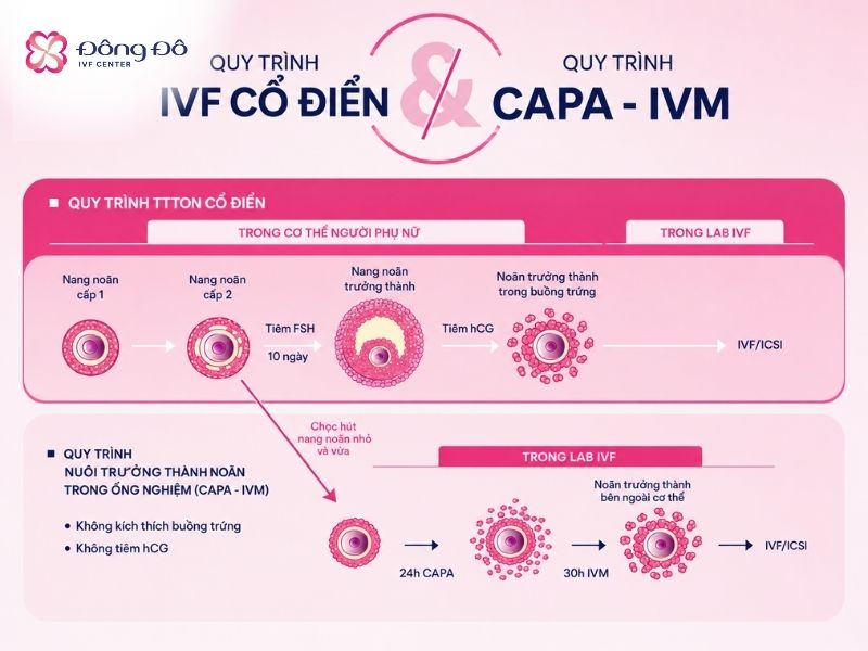 IVM (in-vitro maturation - nuôi noãn non trưởng thành trong ống nghiệm) có thể hạn chế tối đa khả năng bị quá kích buồng trứng trong quá trình tiêm thuốc kích trứng