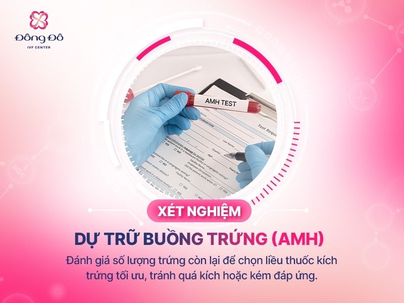 Xét nghiệm quan trọng nhất với người vợ là xét nghiệm dự trữ buồng trứng AMH