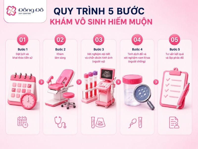 Inforgraphic quy trình khám vô sinh hiếm muộn