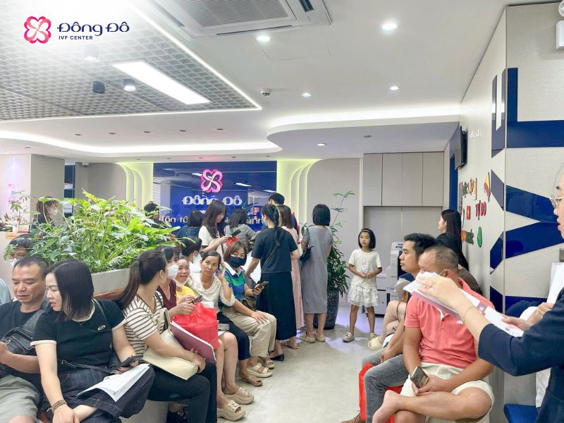 Đông Đô IVF Center là địa chỉ tư vấn vô sinh hiếm muộn hiệu quả hàng đầu Miền Bắc