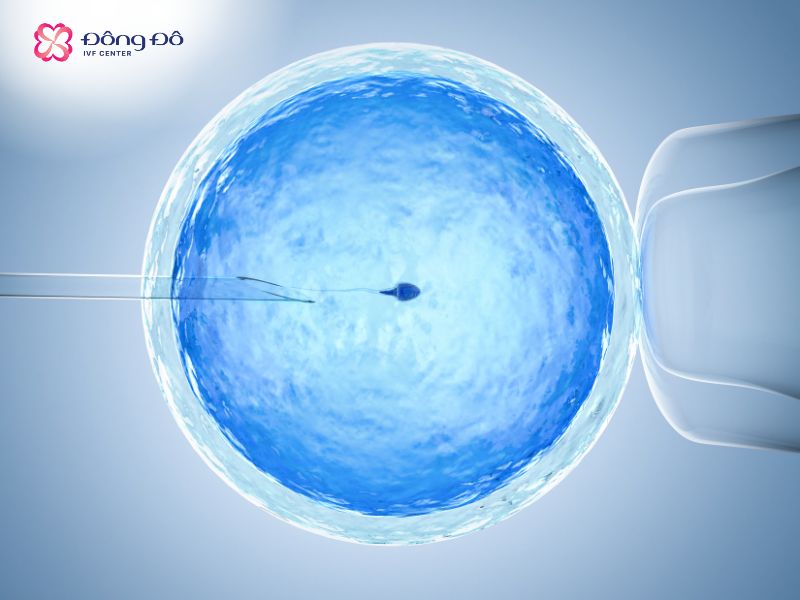 Cần tới thăm khám trực tiếp khi quyết định thực hiện IVF - IUI
