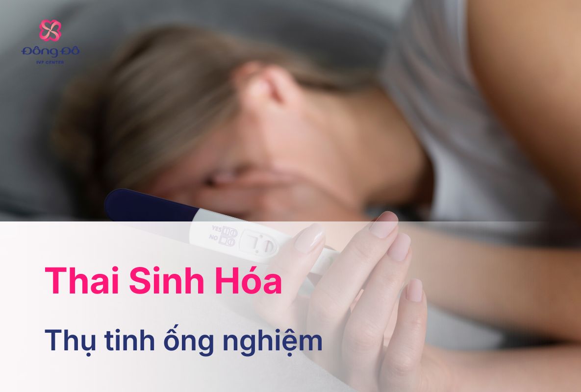 Thai Sinh Hóa Sau Chuyển Phôi: Dấu Hiệu, Cách Phòng Ngừa