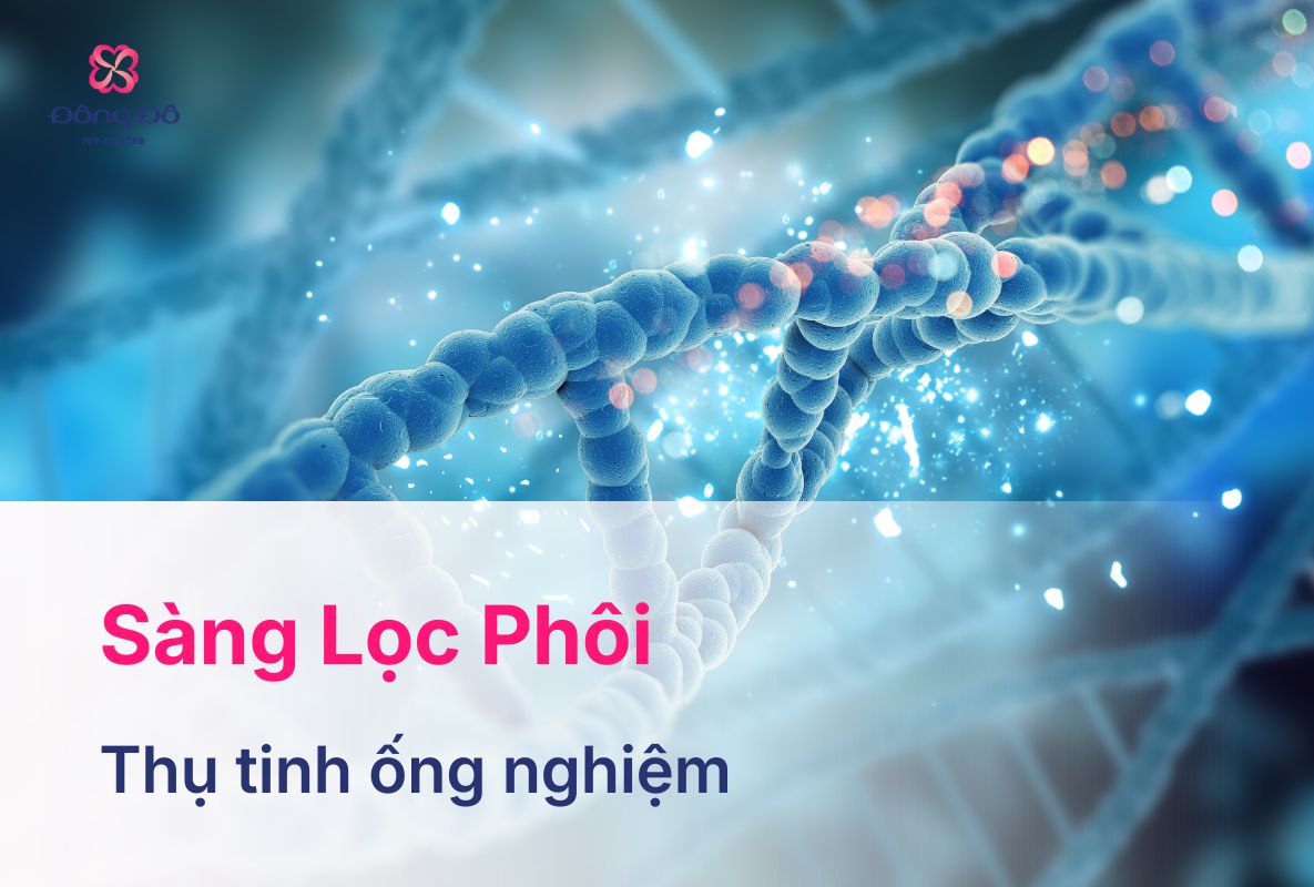 Sàng Lọc Phôi Là Gì? Bao Nhiêu Tiền? Có Chính Xác Không?
