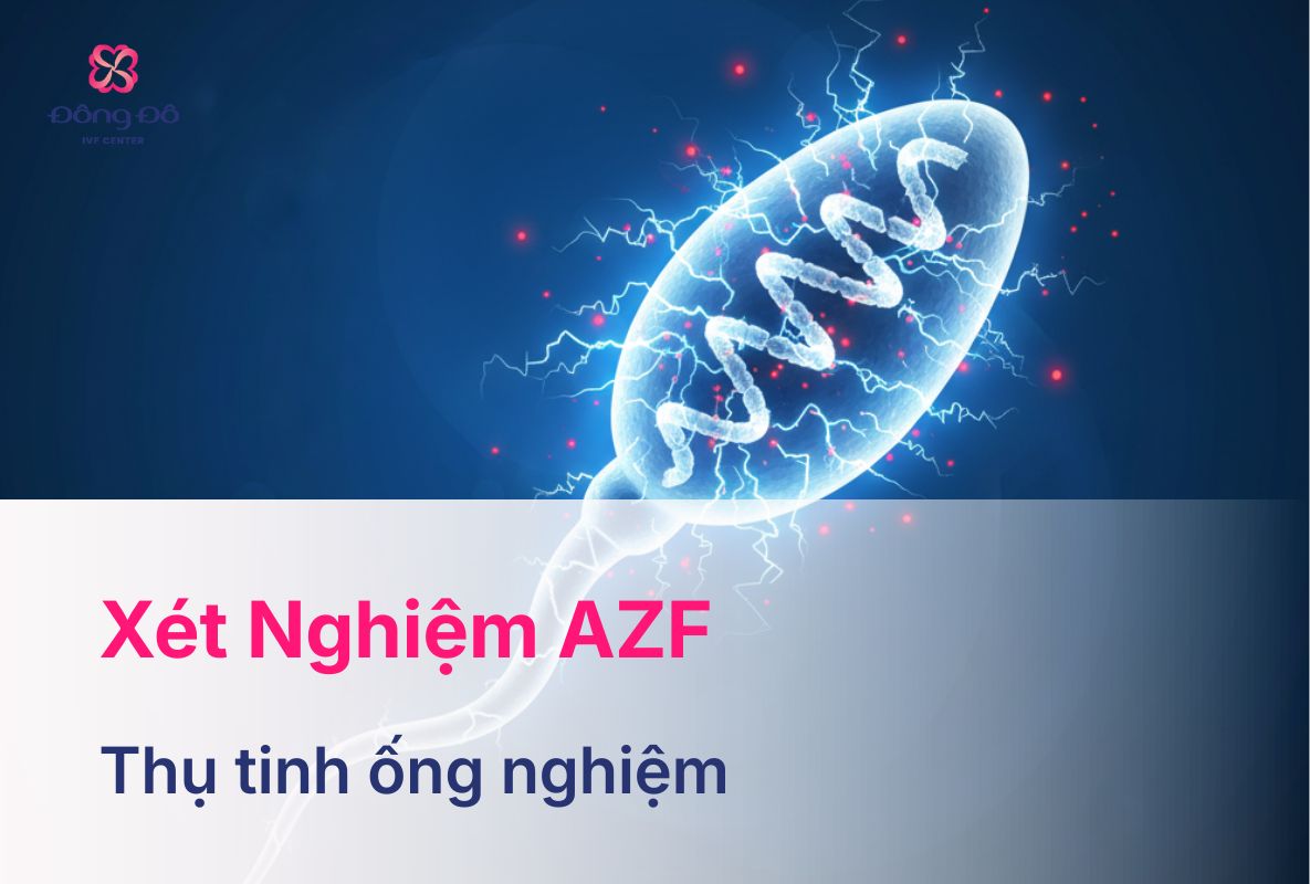 Xét Nghiệm AZF Xác Định Nguyên Nhân Vô Sinh Nam