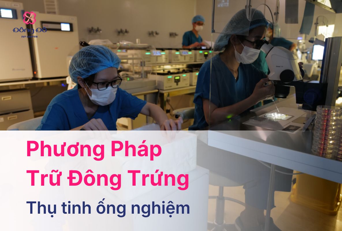 Phương Pháp Trữ Đông Trứng Bằng Thủy Tinh Hóa