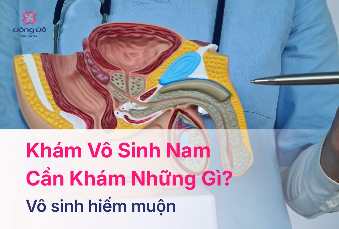 Khám Vô Sinh Nam Cần Khám Những Gì Quy Trình Và Lưu Ý (16)