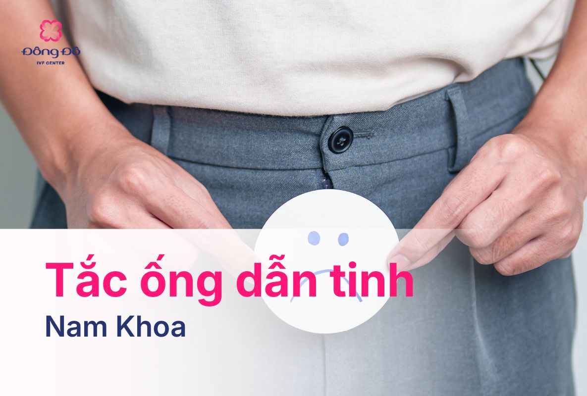 Tắc Ống Dẫn Tinh: Ảnh Hưởng Tới Sinh Sản Và Điều Trị