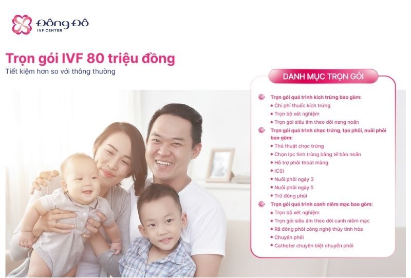 IVF Trọn gói 80 Triệu là một phương án điều trị phù hợp với các gia đình còn trẻ, sức khỏe sinh sản tương đối tốt