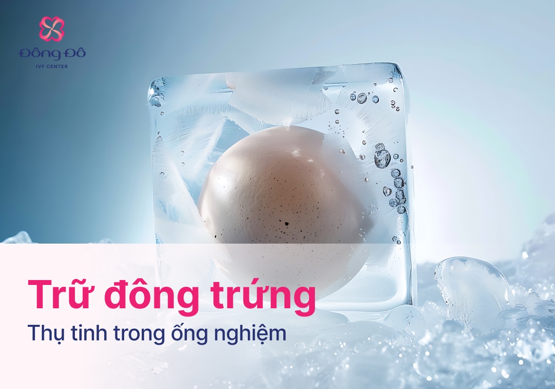 Trữ Đông Trứng: Quy Trình Và Chi Phí Bao Nhiêu?