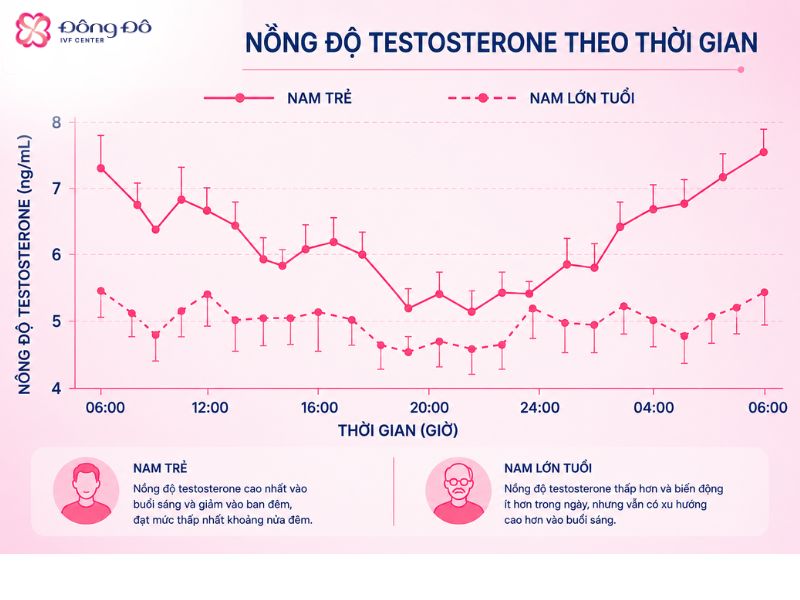 Nồng độ testosterone ở nam giới đạt cao nhất vào lúc 7-10 giờ sáng 