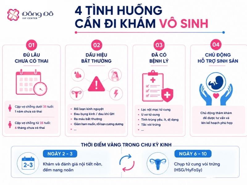 inforgraphic 4 trường hợp cần đi khám vô sinh
